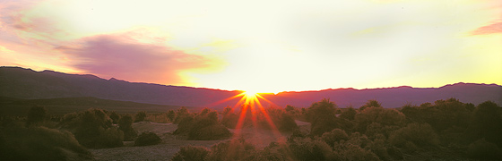 Panoramic Landscape Photography First Golden Rays at Devil's Cornfieid, Death Valley